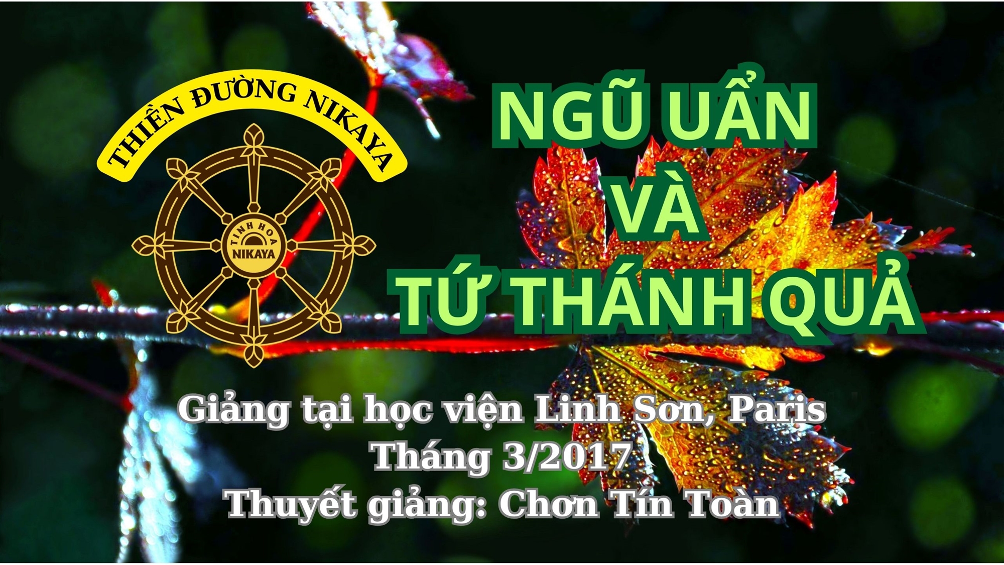 24_ NGŨ UẨN VÀ TỨ THÁNH QUẢ_ CHƠN TÍN TOÀN
