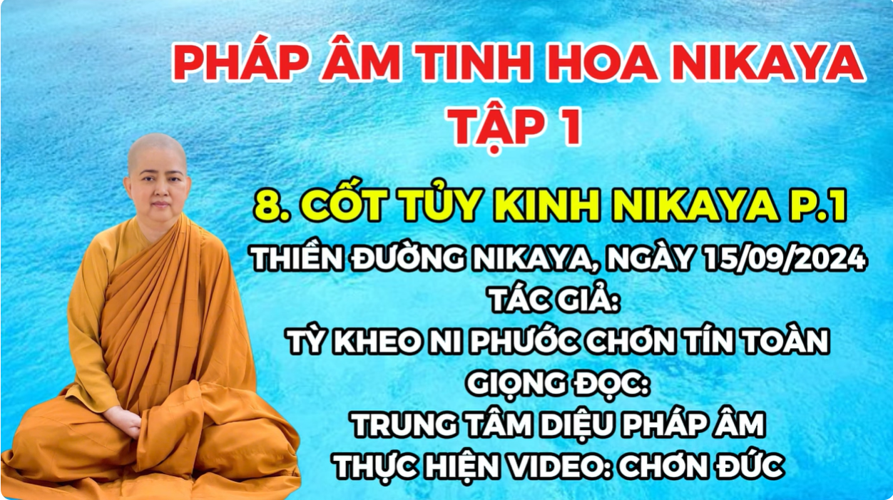 8.P.1_ CỐT TỦY KINH NIKAYA TẬP 1_ CHƠN TÍN TOÀN