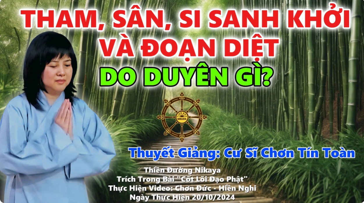 THAM, SÂN, SI SANH KHỞI VÀ ĐOẠN DIỆT DO DUYÊN GÌ?_ CHƠN TÍN TOÀN