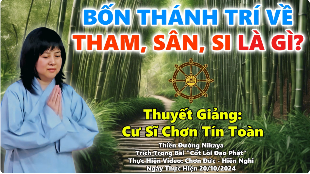 BỐN TRÍ VỀ THAM SÂN SI LÀ GÌ?_ CHƠN TÍN TOÀN