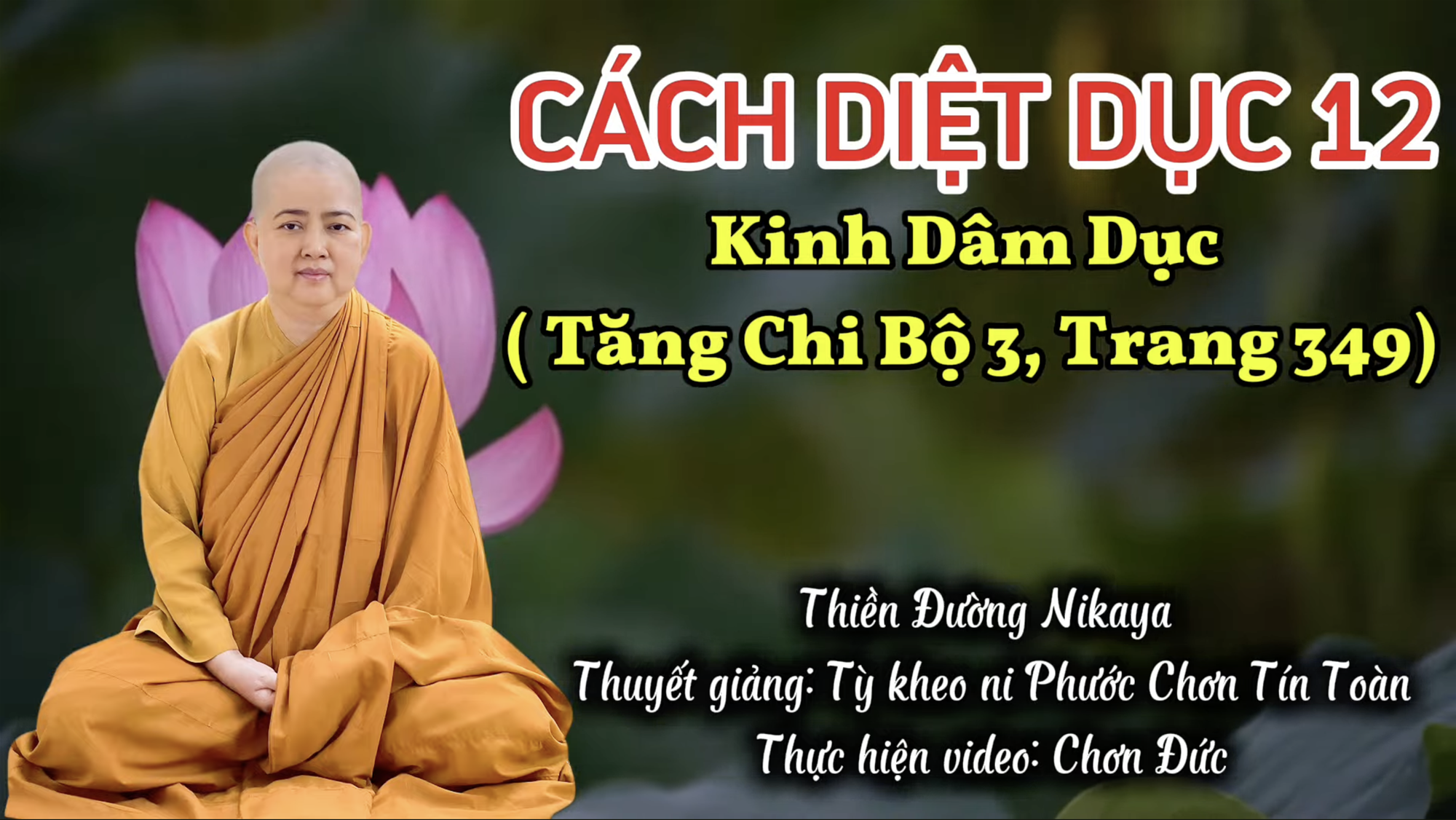 CÁCH DIỆT DỤC 12 _ CHƠN TÍN TOÀN