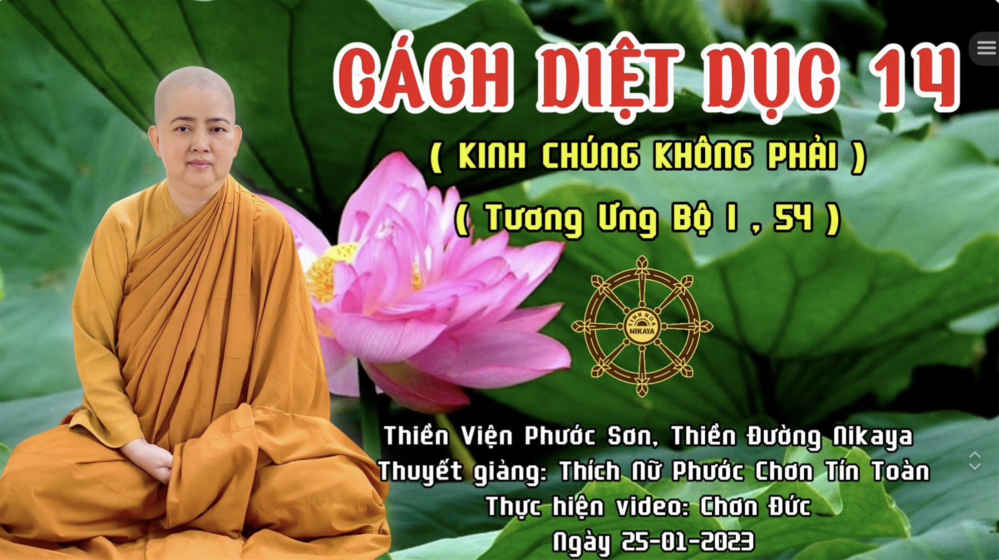 CÁCH DIỆT DỤC 14 _ CHƠN TÍN TOÀN