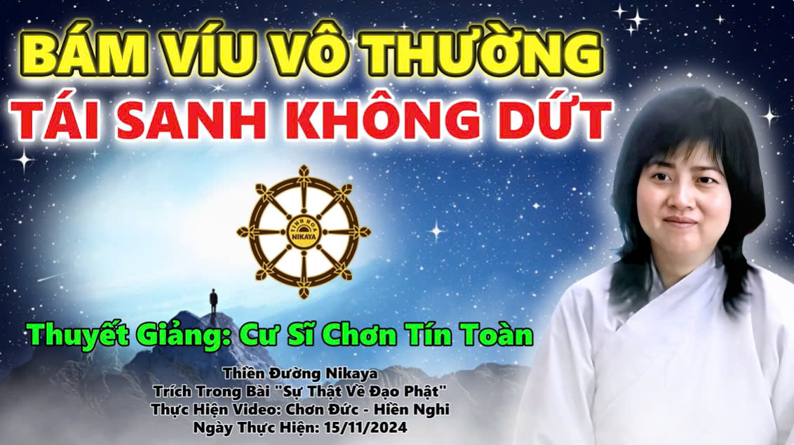 BÁM VÍU VÔ THƯƠNG TÁI SANH KHÔNG DỨT _ CHƠN TÍN TOÀN