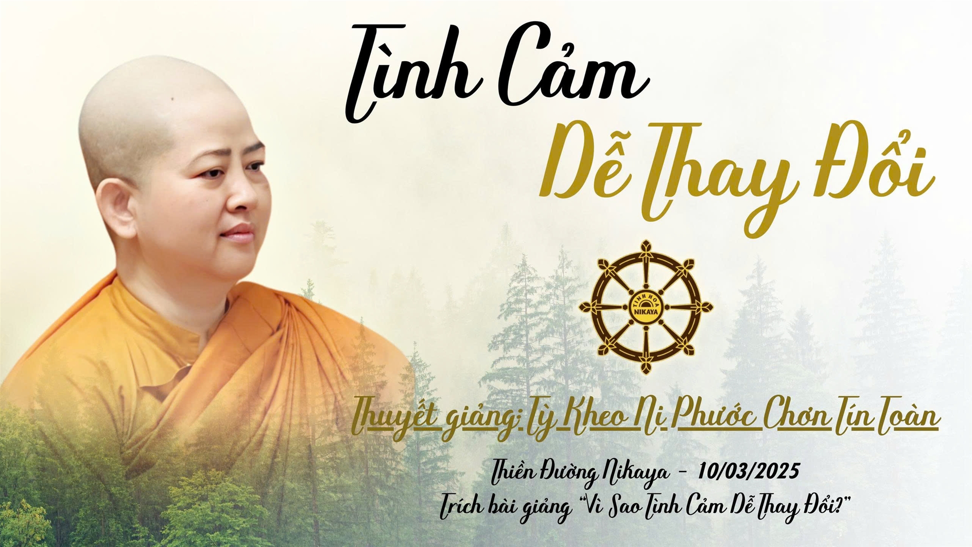 TÌNH CẢM DỄ THAY ĐỔI _ CHƠN TÍN TOÀN