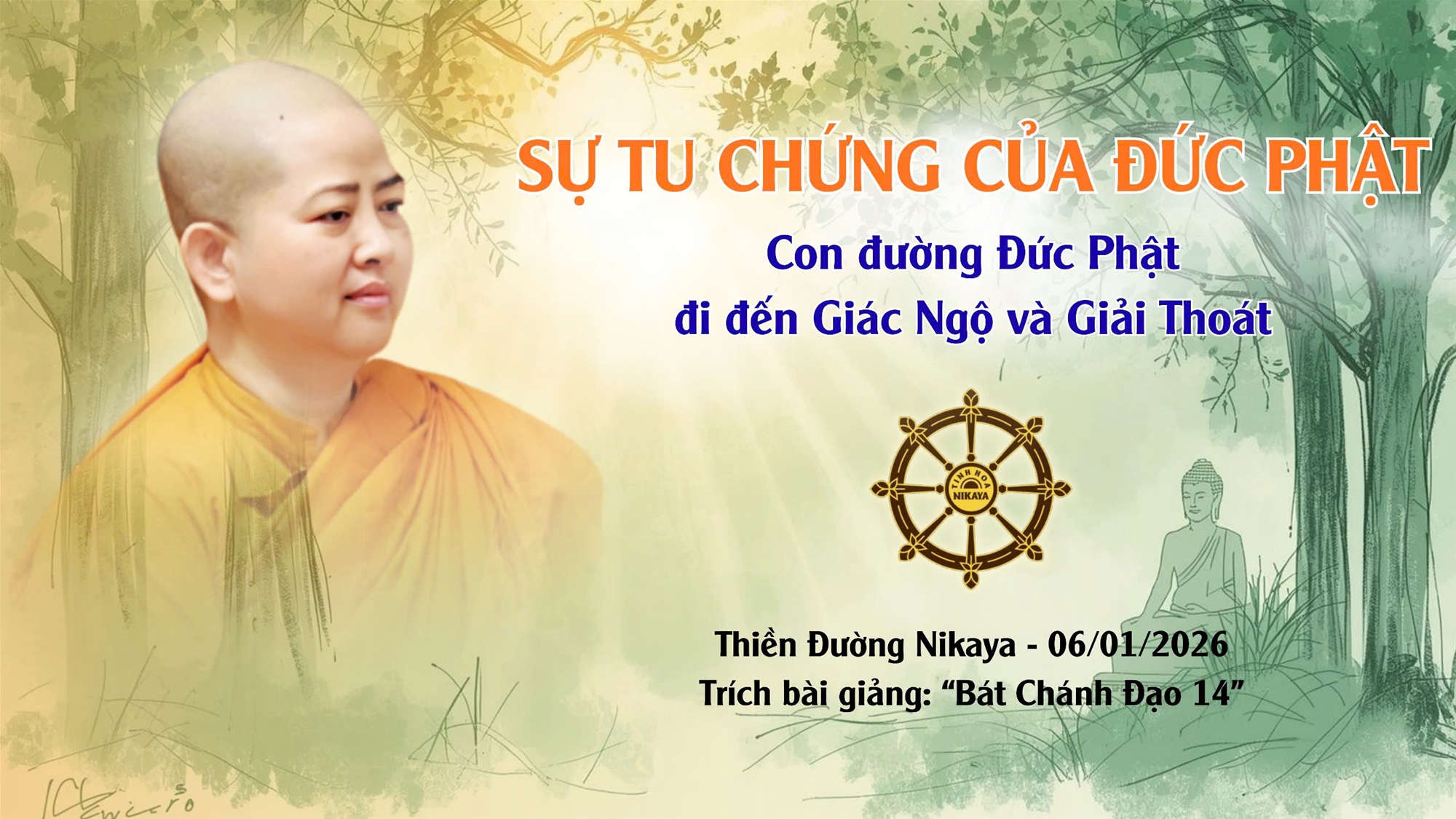 SỰ TU CHỨNG CỦA ĐỨC PHẬT | CON ĐƯỜNG ĐỨC PHẬT ĐI ĐẾN GIÁC NGỘ VÀ GIẢI THOÁT