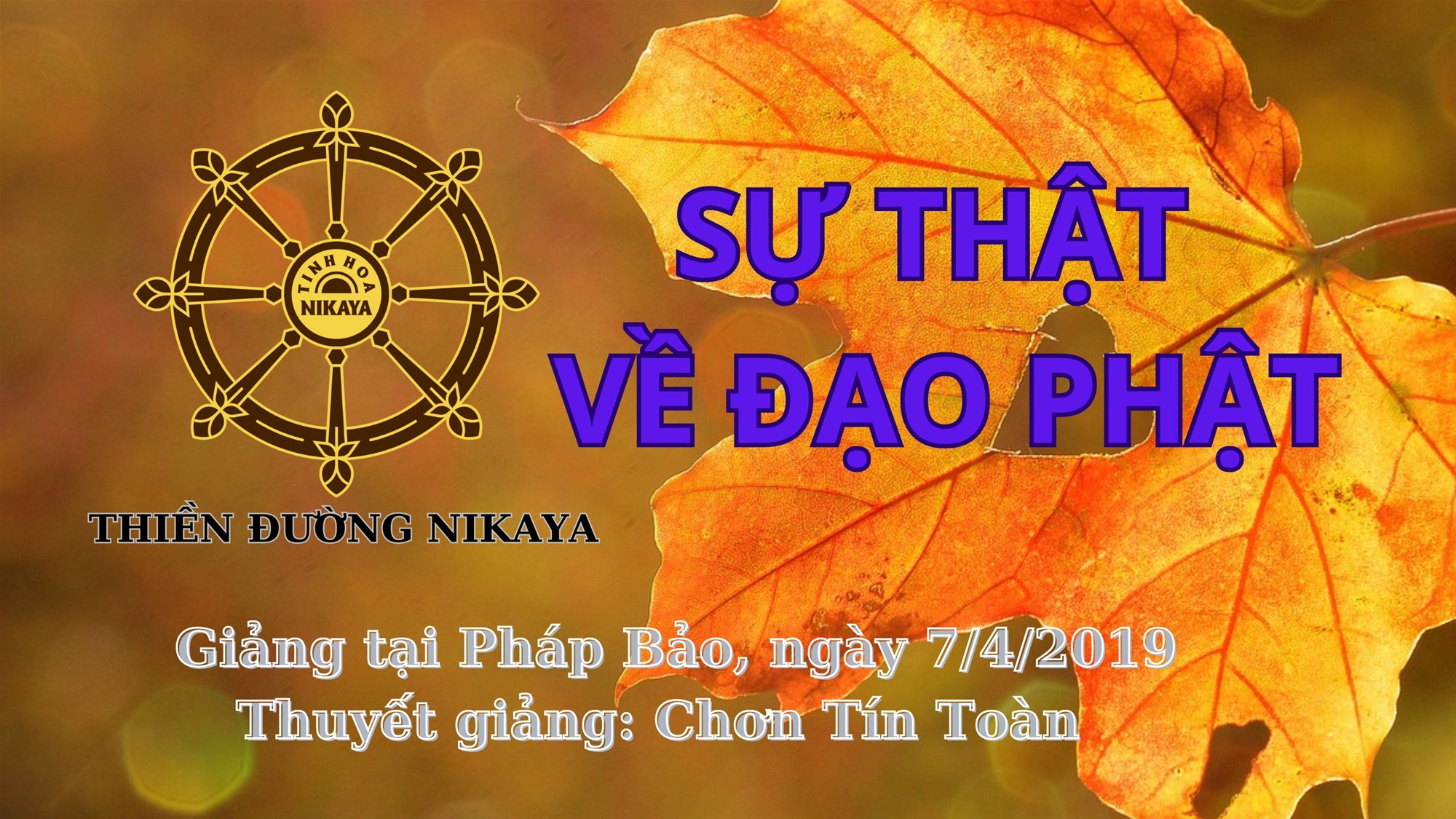 08_SỰ THẬT VỀ ĐẠO PHẬT_CHƠN TÍN TOÀN